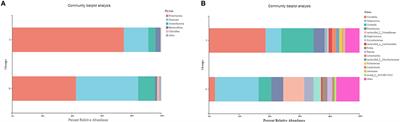 Nasopharyngeal Microbiomes in Donkeys Shedding Streptococcus equi Subspecies equi in Comparison to Healthy Donkeys